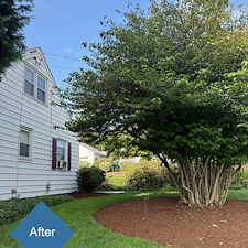 Pruning-Weeding-Mulch-Installation-in-Stratford-CT 0